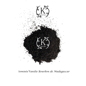 Seminte Vanilie Bourbon de Madagascar