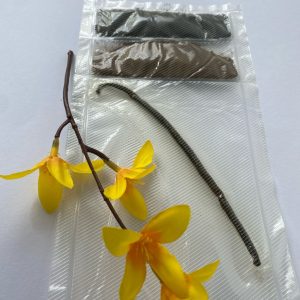 Pachet Premium Vanilie Madagascar: 1 Păstaie 13-15 cm + 5g Semințe Vanilie + 5g Pudră Vanilie