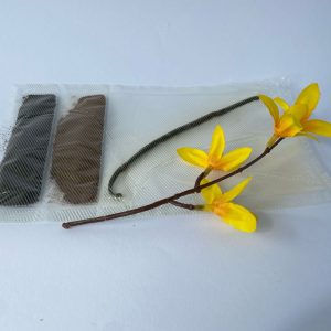 Pachet Premium Vanilie Madagascar: 1 Păstaie 13-15 cm + 5g Semințe Vanilie + 5g Pudră Vanilie